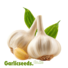 garlicseeds.co.ke